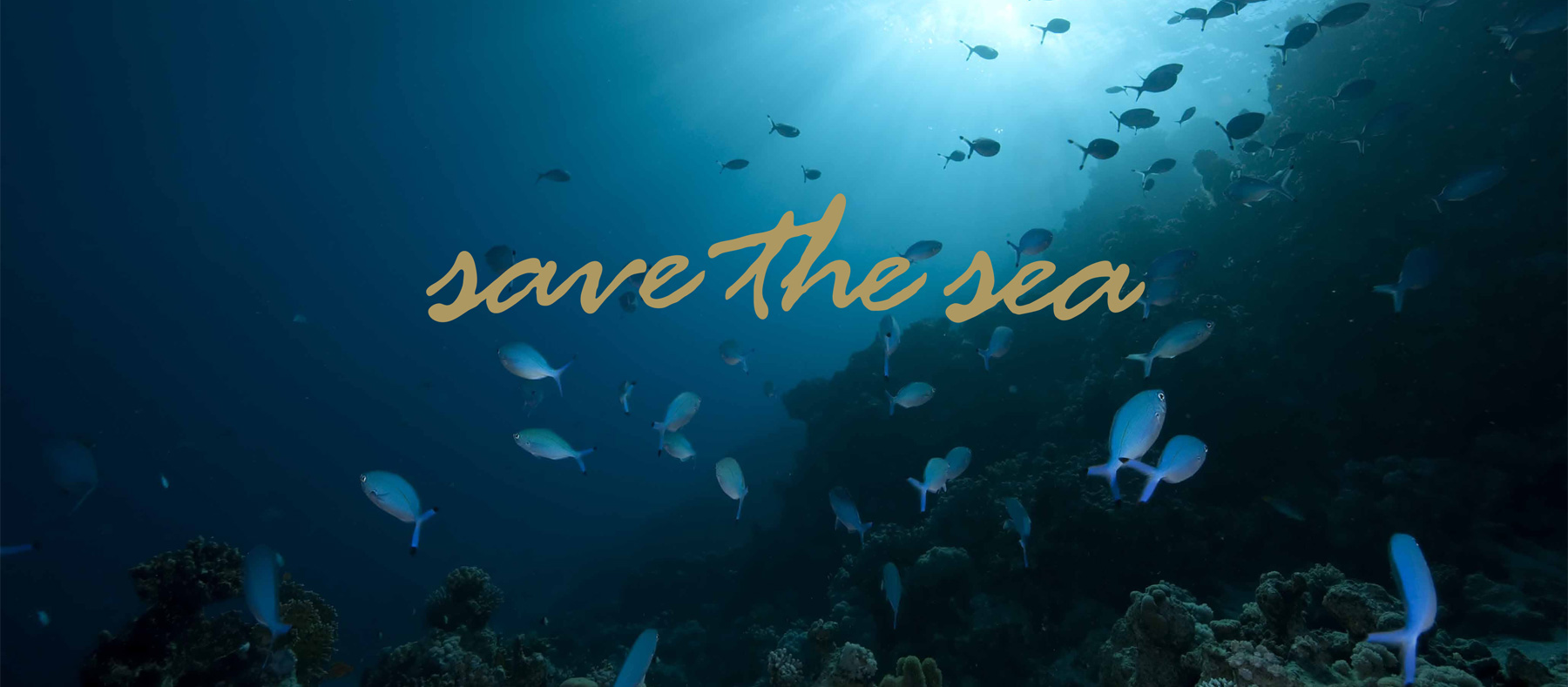 save the sea